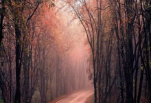 体育频道乒乓球直播为什么这么受欢迎？